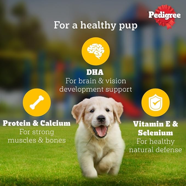 Pedigree Puppy Chicken & Liver Chunks in Gravy Pouch - Image 2