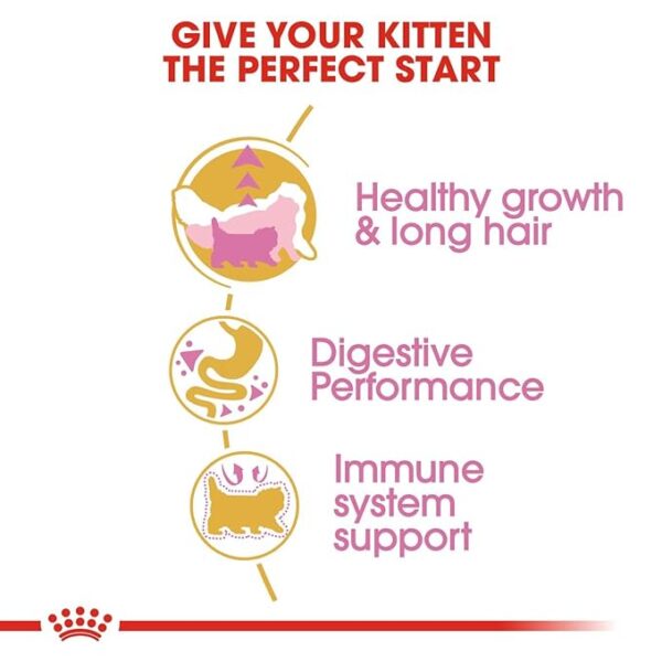 Persian Kitten 1 KG MRP 1300 - Image 3