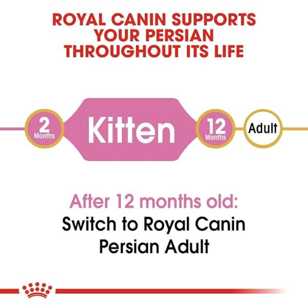Persian Kitten 1 KG MRP 1300 - Image 4