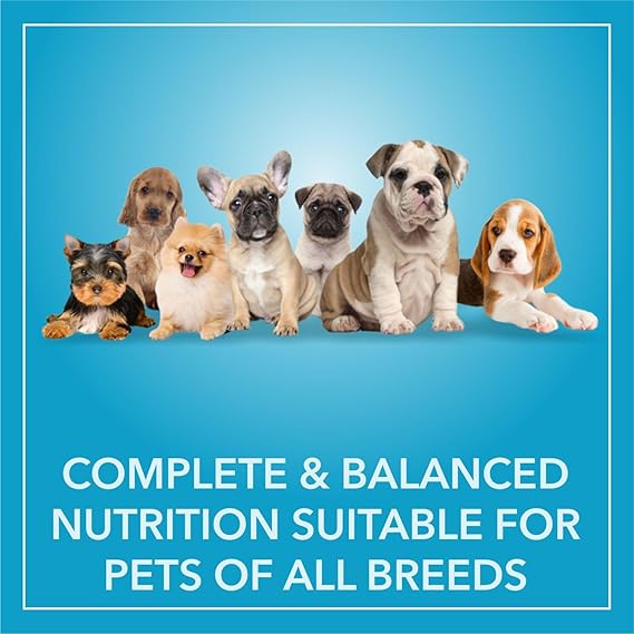 Purepet Chicken & Veg Puppy Dog Food, 1 kg, Granule - Image 5