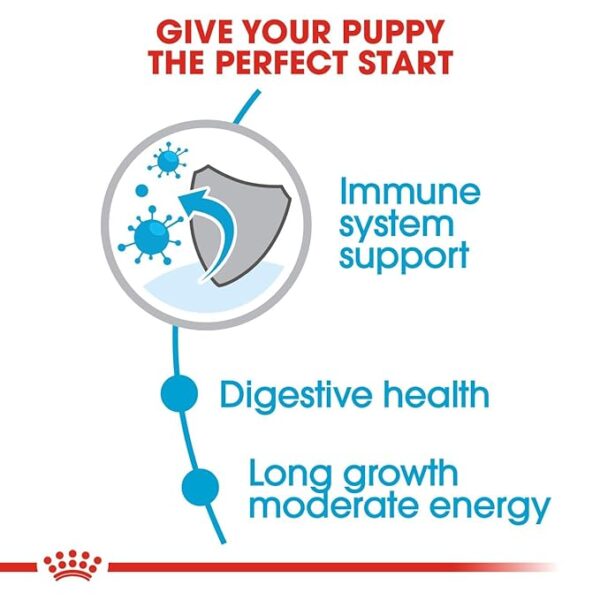 Royal Canin Maxi Puppy 10 kg Dry Dog Food, Chicken - Image 3