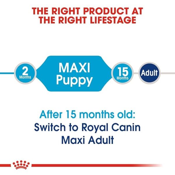 Royal Canin Maxi Puppy 10 kg Dry Dog Food, Chicken - Image 4