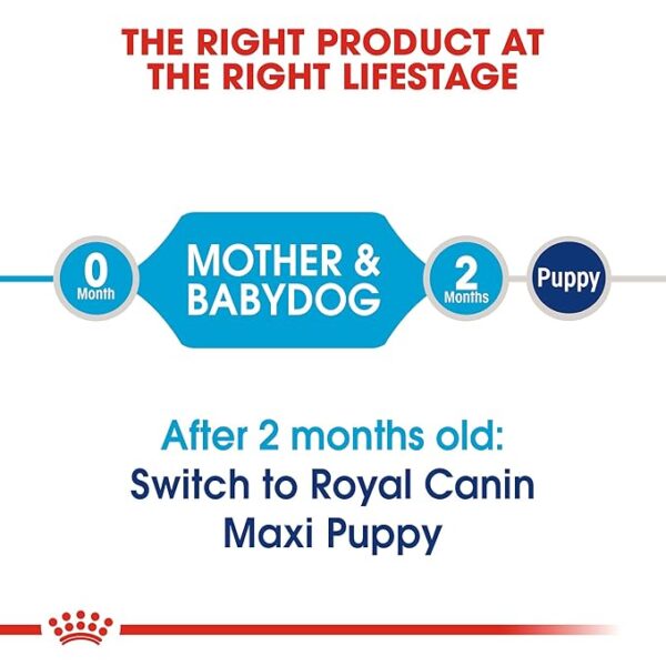 Royal Canin Maxi Starter Pellet Dog Food, Meat Flavor, 4 Kg,Pack of 1 - Image 4