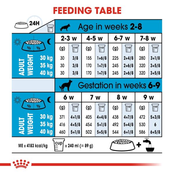 Royal Canin Maxi Starter Pellet Dog Food, Meat Flavor, 4 Kg,Pack of 1 - Image 6
