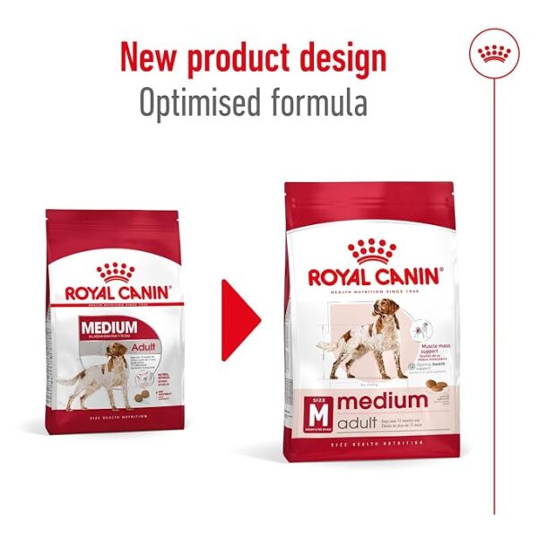 Royal Canin Medium Adult Dry Meat Dog, 1 Kg, 1 Count - Image 3