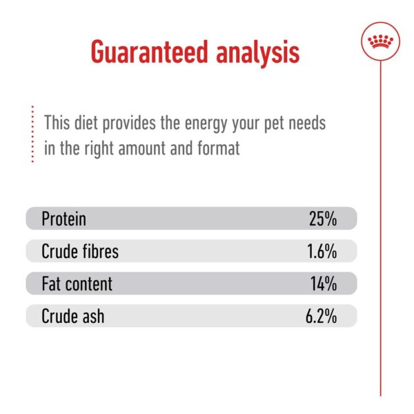 Royal Canin Medium Adult Dry Meat Dog, 1 Kg, 1 Count - Image 7