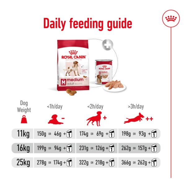 Royal Canin Medium Adult Dry Meat Dog, 1 Kg, 1 Count - Image 8