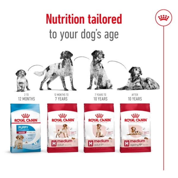 Royal Canin Medium Granule Adult Dog Food, Meat Flavour, 4 Kg - Image 4