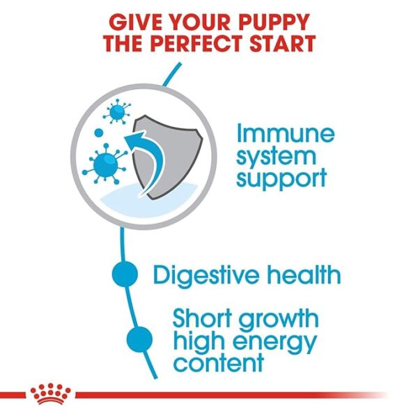 Royal Canin Medium Puppy Dry Dog Food, Meat Flavour, 1 Kg,Pack of 1 - Image 5