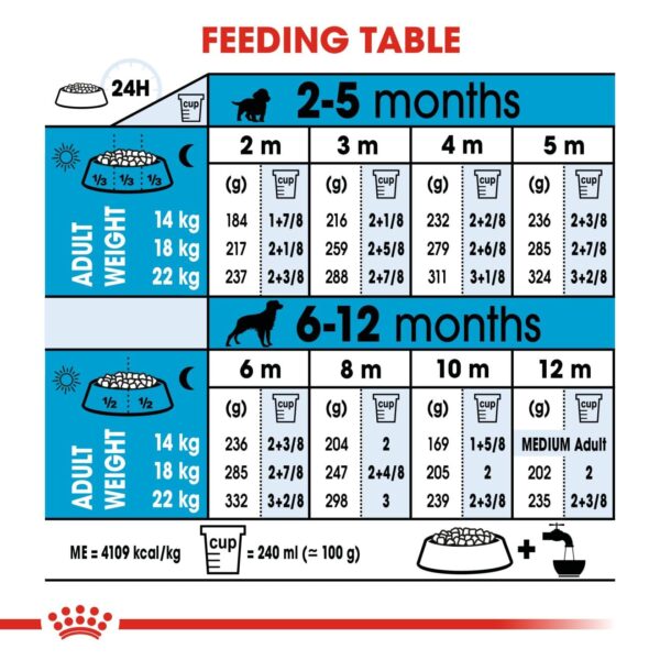 Royal Canin Medium Puppy Dry Dog Food, Meat Flavour, 1 Kg,Pack of 1 - Image 3