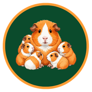 Guinea Pig