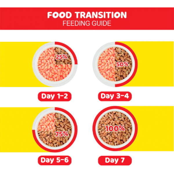 Meo Adult Salmon Cat Dry Food - Image 3